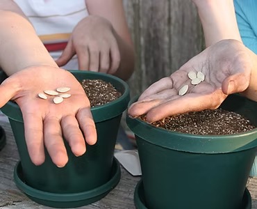 child-planting-seeds-during-ABA-therapy-outdoor-activity
